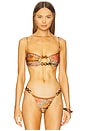 view 1 of 5 Lace Bikini Top in Ete