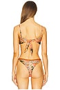 view 4 of 5 Lace Bikini Top in Ete