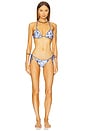 view 4 of 4 Alegria Bikini Bottom in Tales