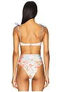 view 3 of 4 Donna Bikini Top in Nacar