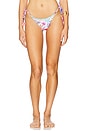 view 1 of 5 Alegria Bikini Bottom in Chroma
