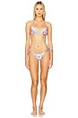 view 4 of 5 Alegria Bikini Bottom in Chroma