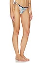 view 2 of 4 Alegria Sereia Side Tie Bikini Bottom in Multicolor