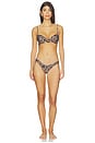 view 4 of 4 Ivy Bikini Bottom in Continua Animal Print