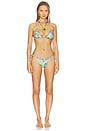 view 4 of 4 BAS DE MAILLOT DE BAIN ALEGRIA in Multicolor