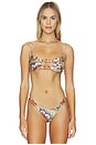view 1 of 5 Lace Plume Bikini Top in Multicolor
