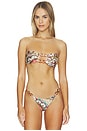 view 2 of 5 Lace Plume Bikini Top in Multicolor