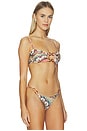 view 3 of 5 Lace Plume Bikini Top in Multicolor