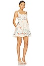 view 2 of 3 Hierbabuena Mosqueta Mini Dress in Multicolor