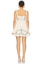 view 3 of 3 Hierbabuena Mosqueta Mini Dress in Multicolor