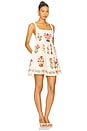 view 2 of 3 Barbara Mini Canna Dress in Multicolor