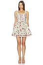 view 1 of 3 Granadilla Mini Dress in Multi