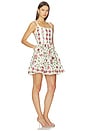view 2 of 3 Granadilla Mini Dress in Multi