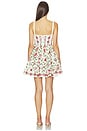 view 3 of 3 Granadilla Mini Dress in Multi