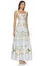 view 2 of 4 Lima Valle Dress in Multicolor