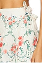 view 6 of 6 Luna Skirt in Mosqueta