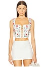 view 1 of 5 Cornalina Mosqueta Corset Top in Multicolor