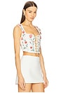 view 2 of 5 Cornalina Mosqueta Corset Top in Multicolor