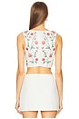 view 3 of 5 Cornalina Mosqueta Corset Top in Multicolor