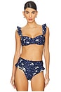 view 1 of 4 Kiwi Cafe Bikini Top in Navy Multicolor