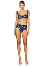 view 4 of 4 BRAGUITA BIKINI JENGIBRE CAF? in Navy Multicolor