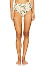 view 1 of 4 Jengibre Bikini Bottom in Orquidea in Orqu?dea