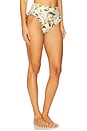 view 2 of 4 Jengibre Bikini Bottom in Orquidea in Orqu?dea
