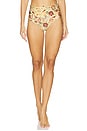view 1 of 4 Magenta Paramo Bikini Bottom in Multicolor