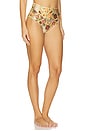 view 2 of 4 Magenta Paramo Bikini Bottom in Multicolor