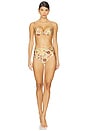 view 4 of 4 Magenta Paramo Bikini Bottom in Multicolor