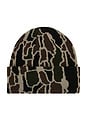 view 2 of 2 Treebark Beanie in Stone