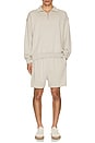 view 4 of 4 Louis Supima Shorts in Stone