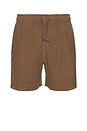 view 1 of 3 Salomon Short in Mushroom