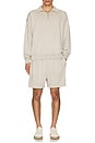 view 4 of 4 Claude Supima Quarter Zip Sweatshirt in Stone