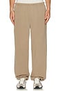 view 3 of 5 Sebi Sweatpant in Biscuit
