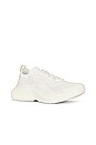 view 2 of 6 SNEAKERS STREAMLINE in Ivory