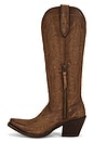 view 5 of 5 BOTAS CASANOVA in Natural Distressed Brown