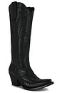 view 2 of 5 BOTTES CASANOVA in Obsidian