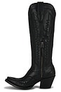 view 5 of 5 BOTTES CASANOVA in Obsidian