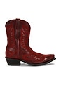 view 1 of 5 BOTTES CATE in Red Alert