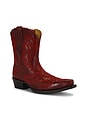 view 2 of 5 BOTTES CATE in Red Alert