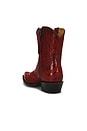 view 3 of 5 BOTTES CATE in Red Alert