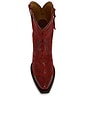 view 4 of 5 BOTTES CATE in Red Alert