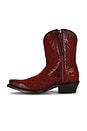 view 5 of 5 BOTTES CATE in Red Alert