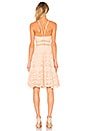 view 3 of 3 Zia Flare Dress in Nude