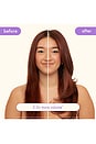 view 3 of 10 Big Hit Shampoo in 
