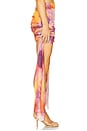 view 4 of 7 Bina Mesh High Waist Skirt in Dandi Print
