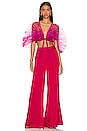 view 5 of 5 TOP CROPPED HIBI in Cherry