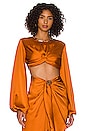 view 1 of 4 Behati Cropped Top in Rust