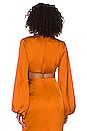 view 3 of 4 Behati Cropped Top in Rust